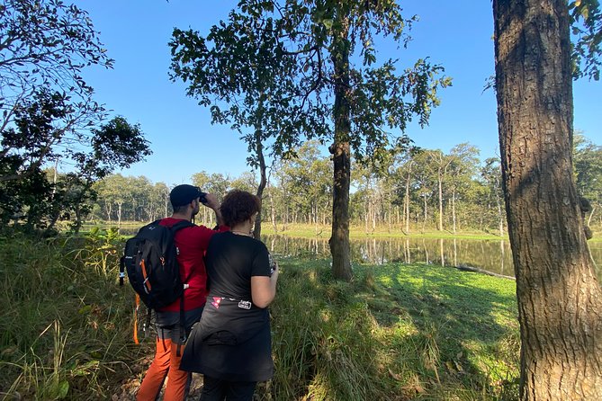 1 Night 2 Days Chitwan Jungle Safari Tour from Pokhara or Kathmandu - Wildlife odds: rhinos, gharial crocodiles, birds, and the tiger question