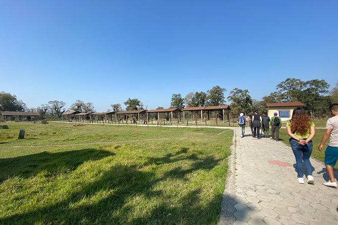 1 Night 2 Days Chitwan Jungle Safari Tour from Pokhara or Kathmandu - Group size, guide help, and the feel of the tour