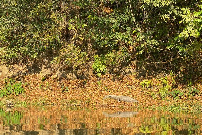1 Night 2 Days Chitwan Jungle Safari Tour from Pokhara or Kathmandu - Day 1 in Chitwan: jeep safari and a sunset run from the Rapti River bank