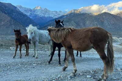12 Days Overland Tour to Upper Mustang - Days 1–2 in Kathmandu: getting oriented before the long road