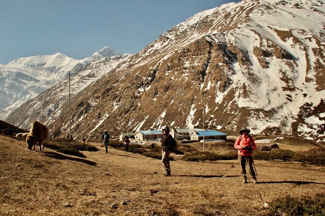 14 Days Annapurna Circuit Trek - Thorong La pass day: early start, steep breathing, big views