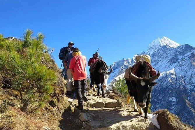 14 Days Everest Base Camp Trekking - Lobuche and the Khumbu Glacier approach: where the trail feels serious