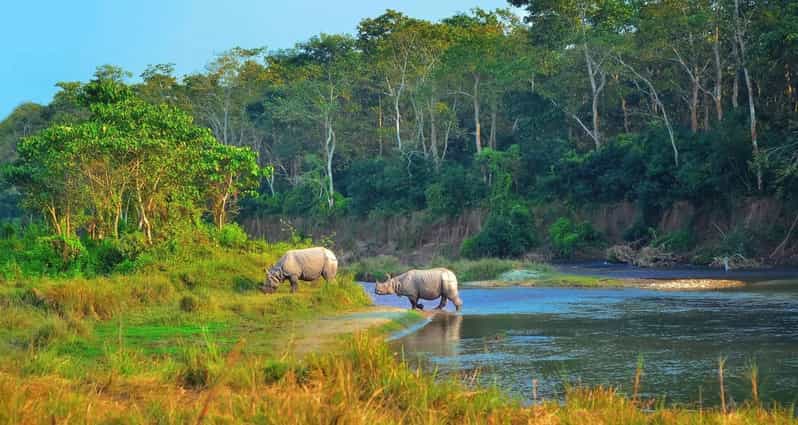 2 Days Chitwan Jungle Safari Tour from Pokhara/Kathmandu - Who this tour is best for (and who should consider a longer Chitwan stay)