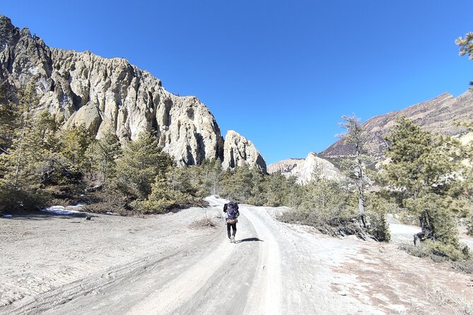 20 Days Annapurna Circuit Trek - Yak Kharka to Thorong High Camp: thinning air and mountain-name power