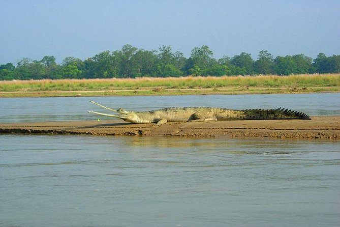 3-Day Chitwan Jungle Safari Tour from Kathmandu - 3 Days in Chitwan: what this tour actually delivers