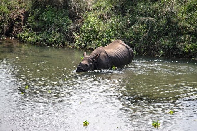 3-Day Chitwan Jungle Safari Tour from Kathmandu - Getting from Kathmandu to Chitwan: buses, timing, and real-world comfort