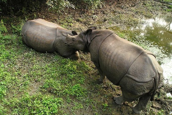 3-Day Chitwan Jungle Safari Tour from Kathmandu - Where you’ll sleep: 3-star comfort with practical tradeoffs