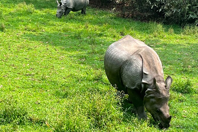3-Day Guided Safari Tour in Chitwan National Park in Nepal - Kathmandu to Chitwan: the 5-hour drive that frames your expectations