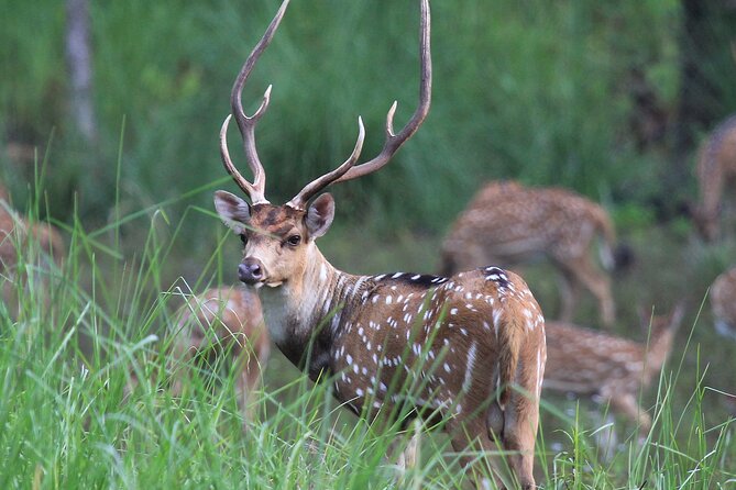 3 Days Jungle Safari in Chitwan National Park - From Kathmandu to Sauraha: the ride is long, but it sets the tone