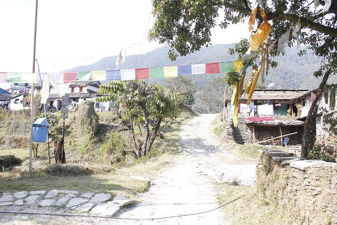 7 Days Langtang Valley Trek from Kathmandu - Day 6’s Syabrubensi descent: simple guesthouses and a gentler finish