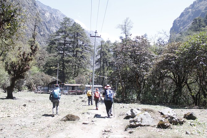 7 Days Langtang Valley Trek from Kathmandu - Day 7: drive back to Kathmandu and a rest day in Thamel
