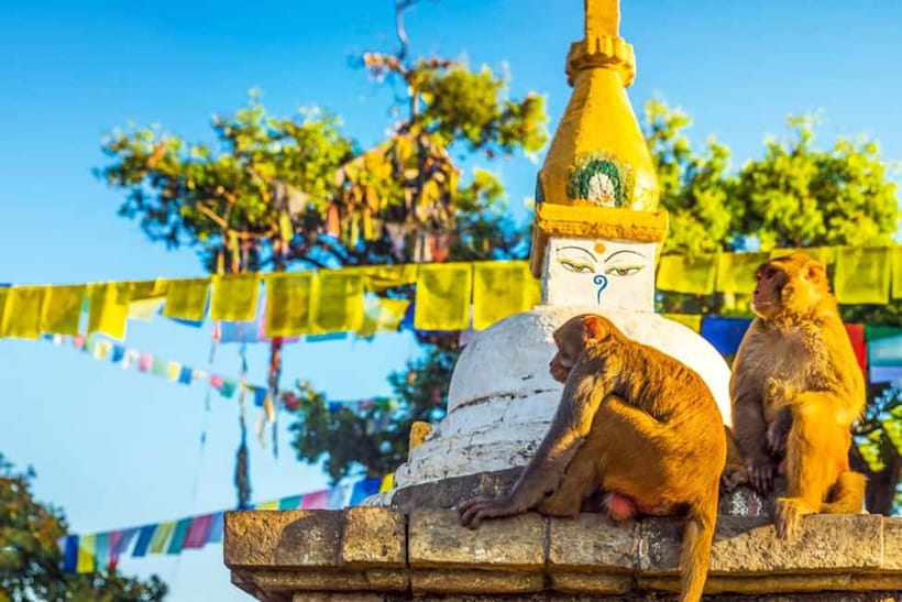 7-Heritage of Kathmandu: At your comfort 1-Day Tour - Pashupatinath Temple and the Bagmati River cremation watch