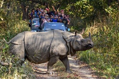 8 Days Tour in Nepal (4 Star Accommodation) - Kathmandu Valley Icons: Boudha, Patan, Pashupatinath, Swayambhu