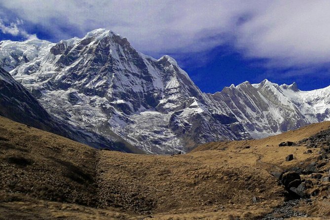 Annapurna Base Camp Trekking - Trek day 2: Ulleri to Ghorepani through oak and rhododendron forests