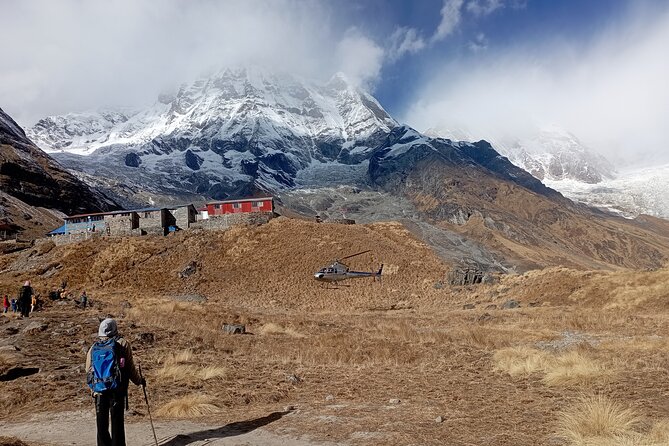 Annapurna Base Camp Trekking - Trek day 4: Tadapani to Chhomrong and the rhododendron descent