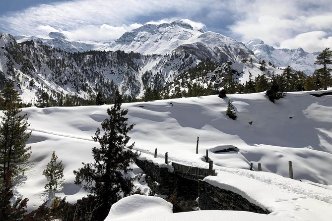 Annapurna Circuit Trek - Ledar and Thorong Phedi: The Last Steps Before the Pass