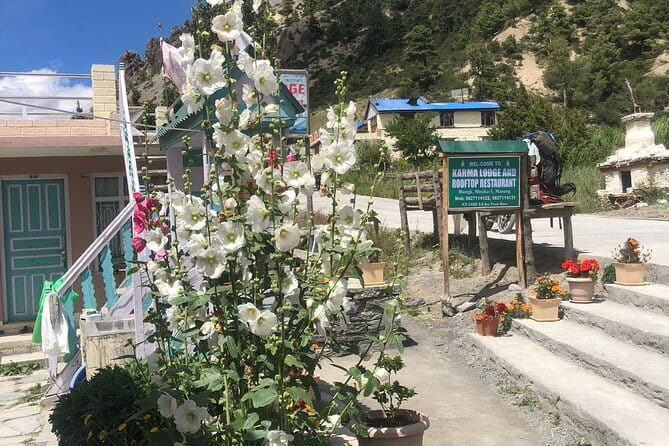Annapurna Circuit Trek in Nepal (9 Days) - Chame and the rhododendron forests: when the trail turns photogenic