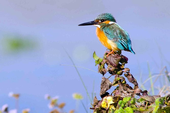 Best of Nepal Luxury Adventure Tour Package - 9 Days - Key things I’d circle on your planning list