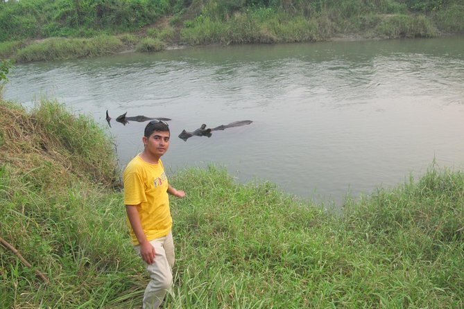 Best of Nepal Luxury Adventure Tour Package - 9 Days - Luxury route: Kathmandu to Chitwan, Pokhara, Dhampus