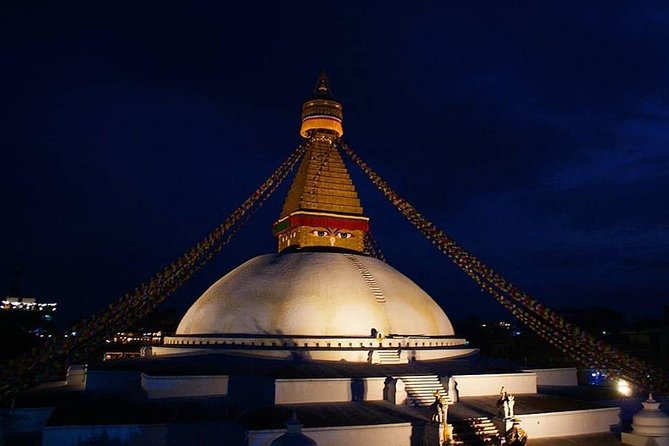 Best of Nepal Luxury Adventure Tour Package - 9 Days - Chitwan safari day: jeep scouting, birds, canoe time, and Tharu culture