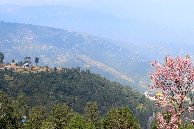 Changunarayan Hill to Telkot Hike Near Kathmandu Day Tour - Price and value: $95 for a guided private day