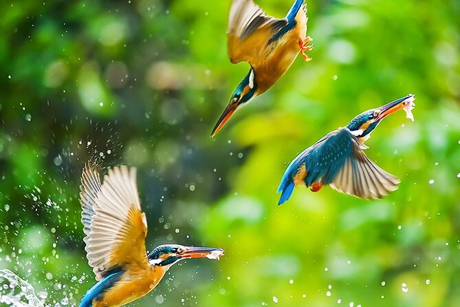 Chitwan 2 Nights All Inclusive Jungle Safari Tour - Who should book this (and who should think twice)