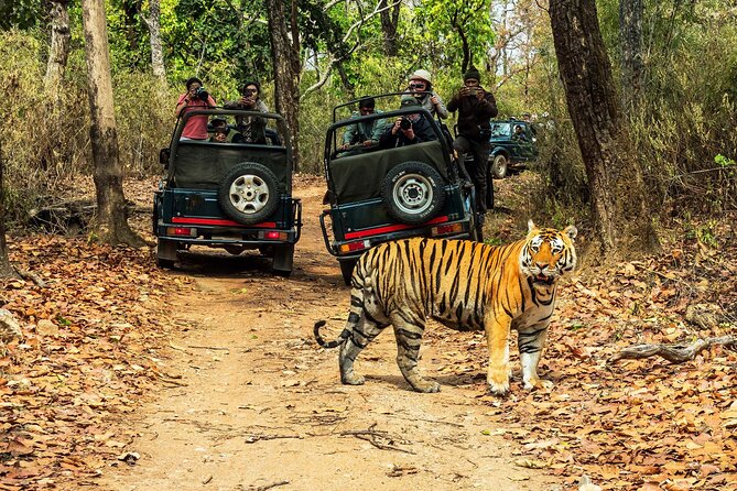Chitwan Jungle Safari 3-Day Tour - Key things that make this safari worth your time