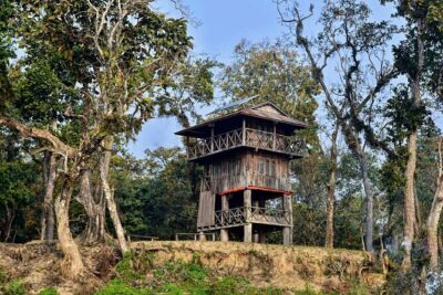 Chitwan Jungle Safari 3-Day Tour - Day 2’s morning rhythm: bird watching, canoe ride, and jungle walk