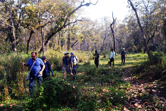 Chitwan Jungle Safari 3-Day Tour - Day 3 back to Kathmandu: leaving the park area without stress