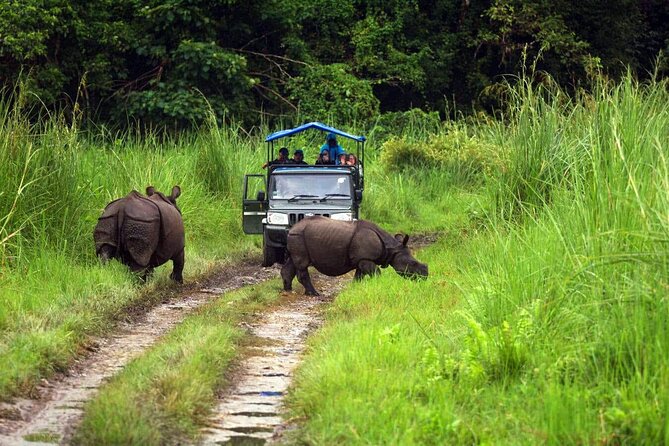 Chitwan Jungle Safari 3-Day Tour - The 4-day option: when you should choose extra time