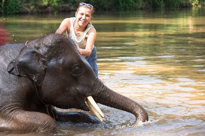 Chitwan National Park Tour - Getting From Kathmandu To Chitwan District Without Stress