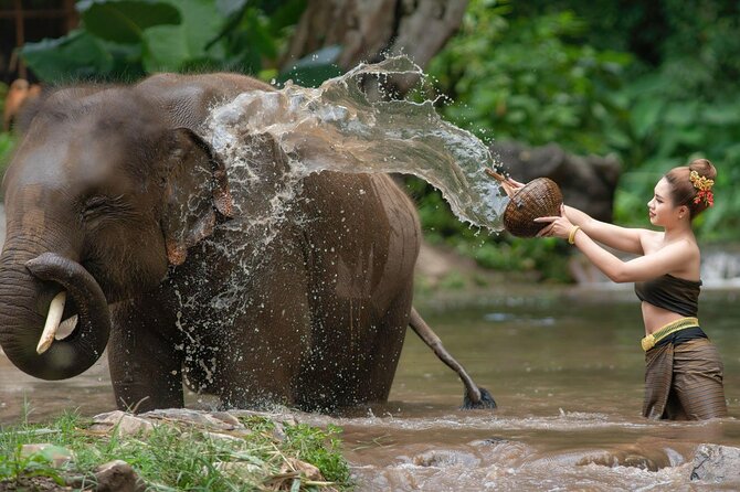 Chitwan National Park Tour - Day 1: Welcome Drinks, Evening Walk, and Tharu Culture