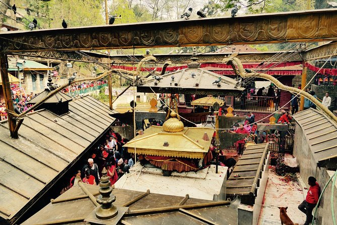 Escorted Full Day Pharping, Dakshinkali and Kirtipur Day Trip with Newari Lunch - Dakshinkali: the Kali pilgrimage site you should be ready for