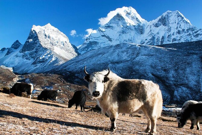Everest Base Camp Helicopter Tour Stop at Hotel Everest View. - Key things I think you’ll notice right away