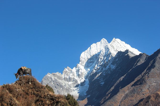 Everest Three Pass Trek - Cho La to Gokyo lakes: an ice-covered pass and a different kind of scenery