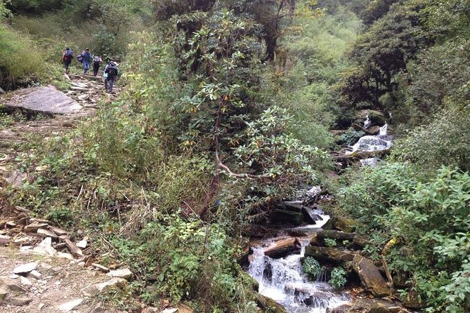 Ghorepani Poon Hill Trek - A short trek with a big-view payoff from Kathmandu and Pokhara
