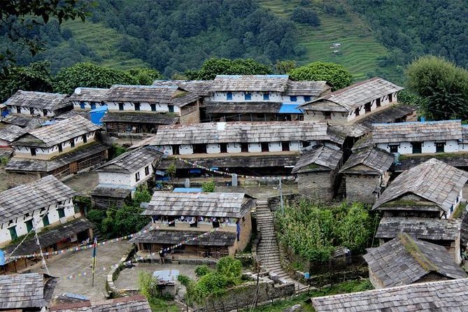 Ghorepani Poon Hill Trek - Forest trails and village culture you can actually experience