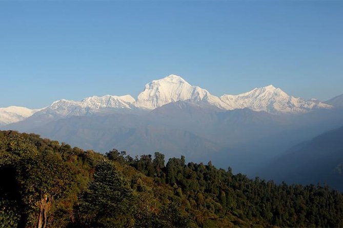 Ghorepani Poon Hill Trek - Who should book this Ghorepani Poon Hill Trek, and who should consider another route