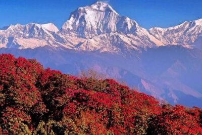 Ghorepani Poonhill Trek -8 Days - Kathmandu arrival: a clean start before the mountains