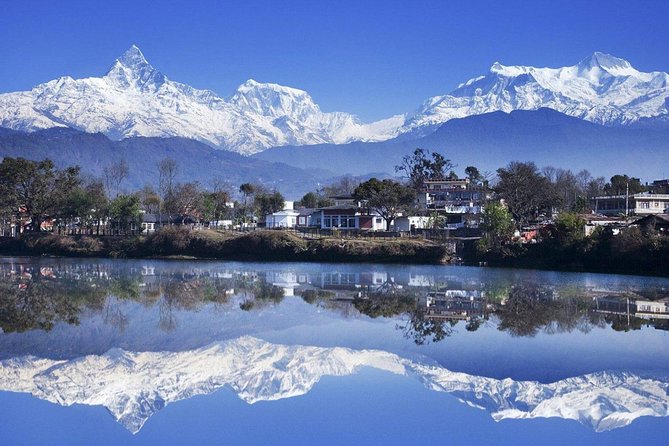 Ghorepani Poonhill Trek -8 Days - Ulleri to Ghorepani: rhododendron forests and a real climb
