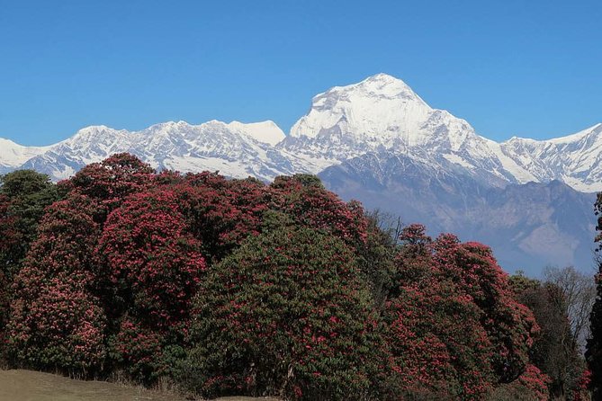 Ghorepani Poonhill Trek -8 Days - Returning to Kathmandu: the Manakamana cable car stop