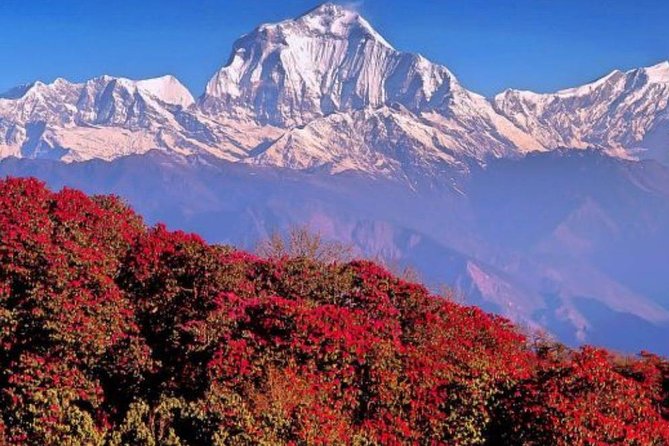 Ghorepani Poonhill Trek -8 Days - Kathmandu arrival: a clean start before the mountains