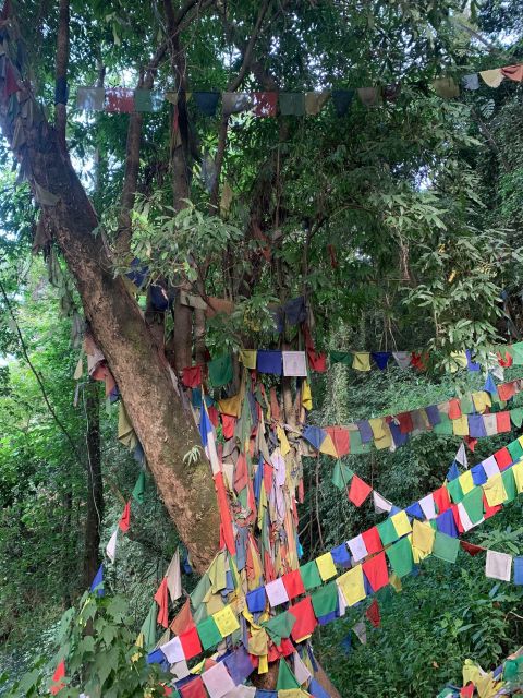Healing Day tour - Shaman Healing - The Nepali Family Meal and Local Rhythm Between Spiritual Steps