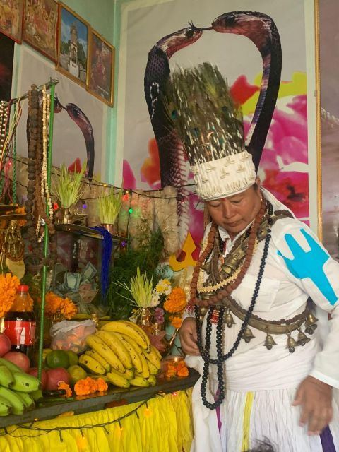 Healing Day tour - Shaman Healing - Price, Group Size, and Value for $80