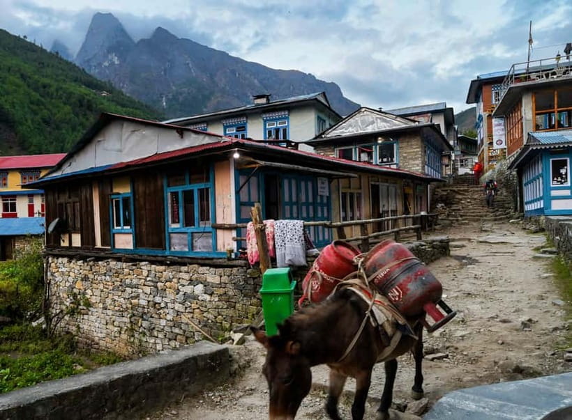 Kathmandu: 15-Day Everest Base Camp Trek with Guide - Lukla launch: the flight step, Phakding, and settling into Sagarmatha National Park
