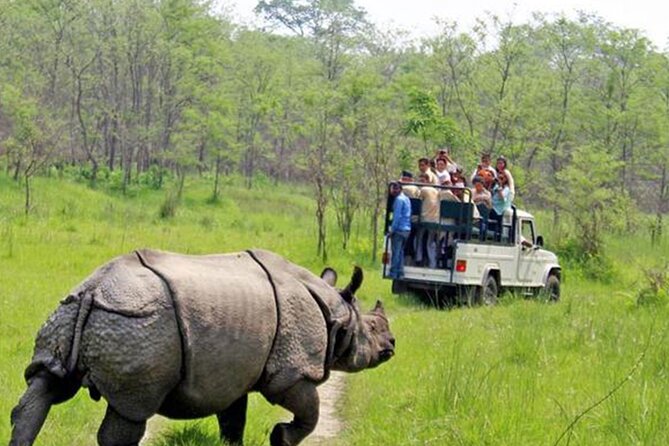Kathmandu 2 Nights 3 Days Chitwan Jungle Safari Tour - Key highlights at a glance