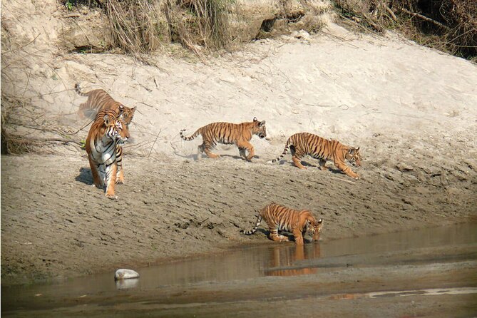 Kathmandu 2 Nights 3 Days Chitwan Jungle Safari Tour - Price reality check: is $190 worth it for what you get?