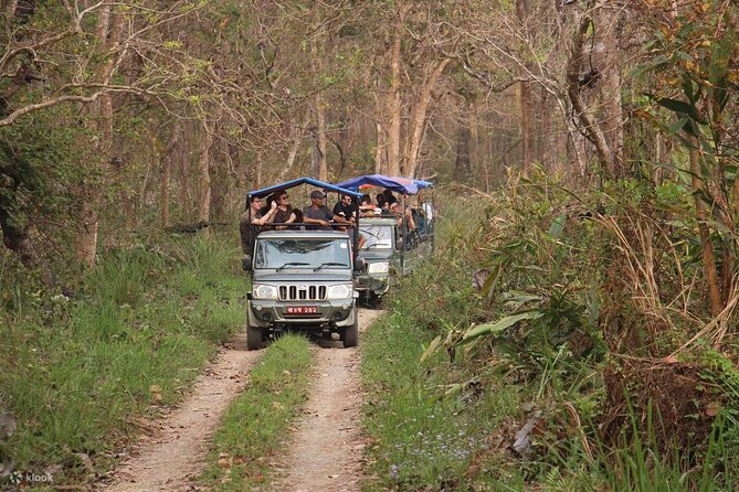 Kathmandu 2 Nights 3 Days Chitwan Jungle Safari Tour - Who should book this Chitwan safari tour?