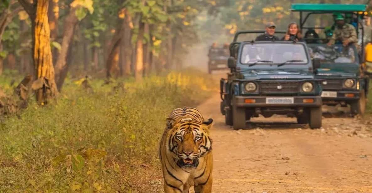 Kathmandu: 4-Day Private Chitwan National Park Safari Tour - Elephant Breeding Center and Chitwan Tharu Village: More Than a Photo Stop