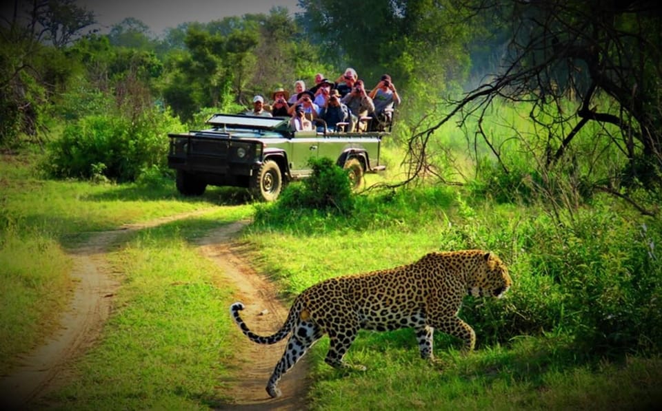 Kathmandu: 4-Day Private Chitwan National Park Safari Tour - Day 3 Choice Day: Jungle Walk or Cycling to 20,000 Lake